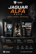 JAGUAR ALFA PACK